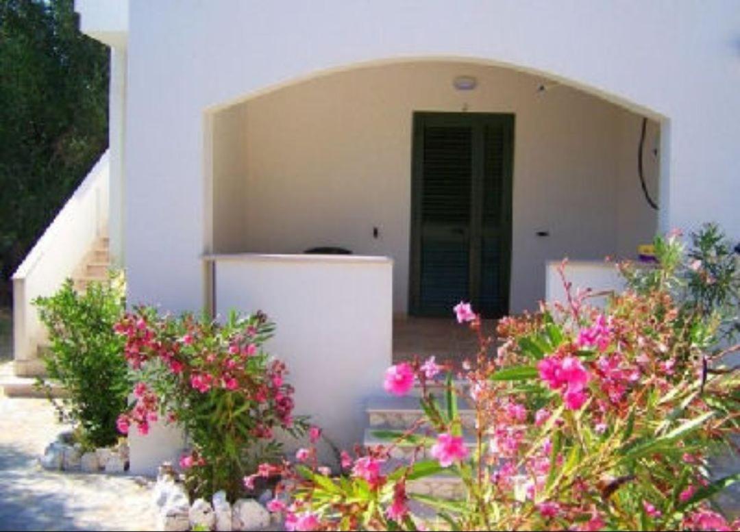 ויאסטה Villa Rinaldi Apartment מראה חיצוני תמונה